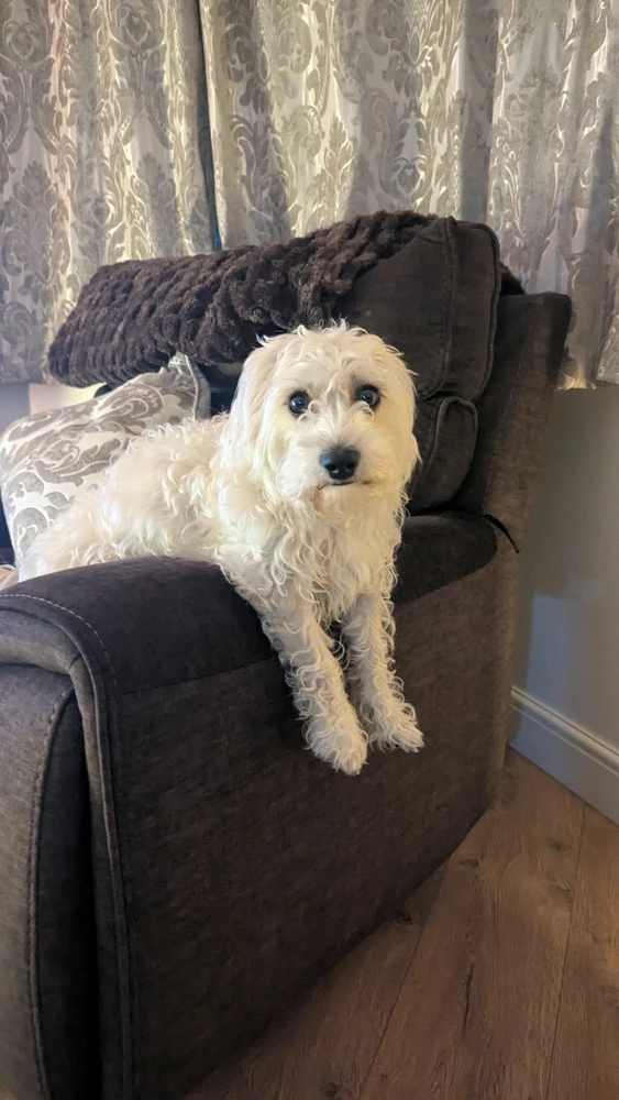 GIF uploaded by Jack