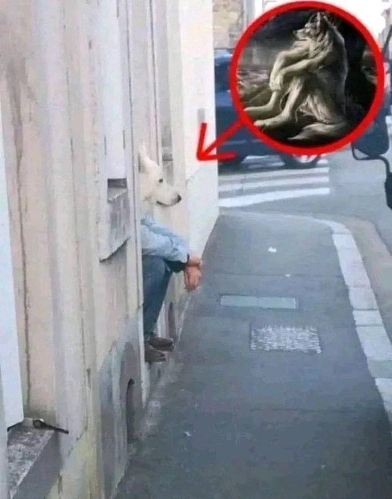 GIF uploaded by Carla