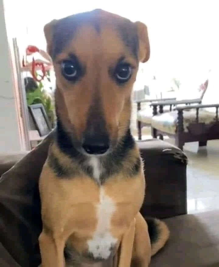 GIF enviado por Lara