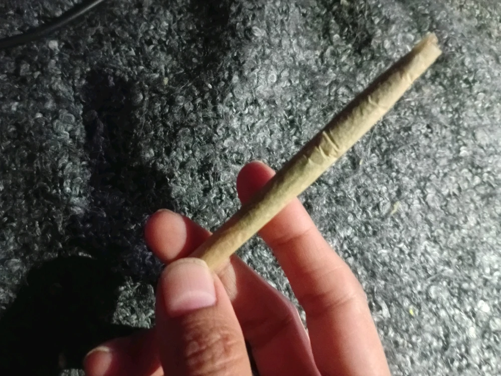 GIF uploaded by meliii