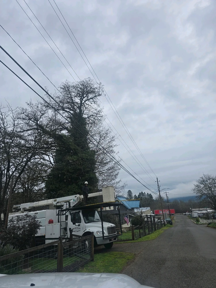 GIF uploaded by levii