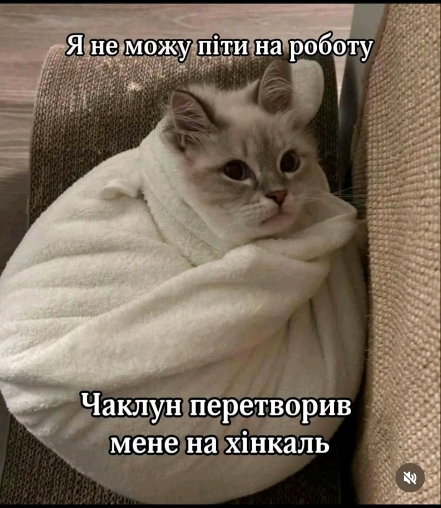 Гіфку завантажив Walt