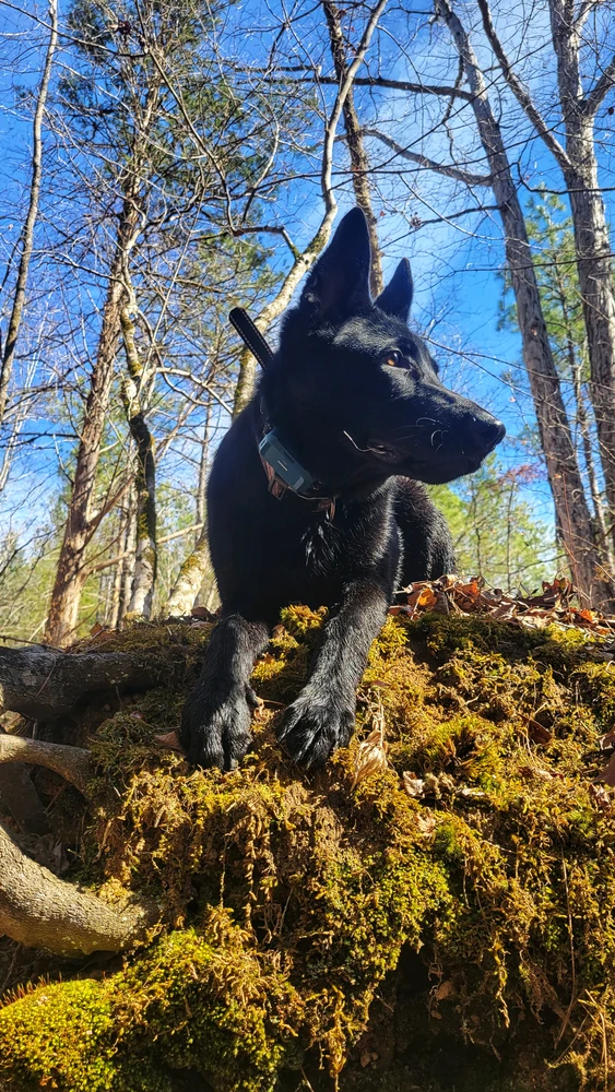 GIF diunggah dening Christie