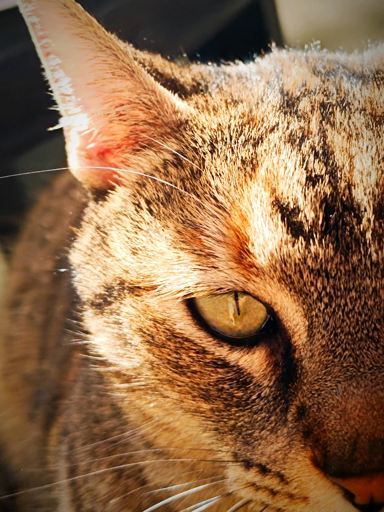 GIF uploaded by Diego 🖤✨