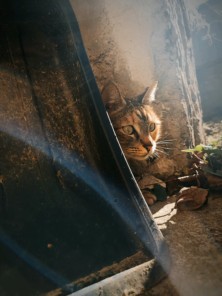 GIF uploaded by Diego 🖤✨