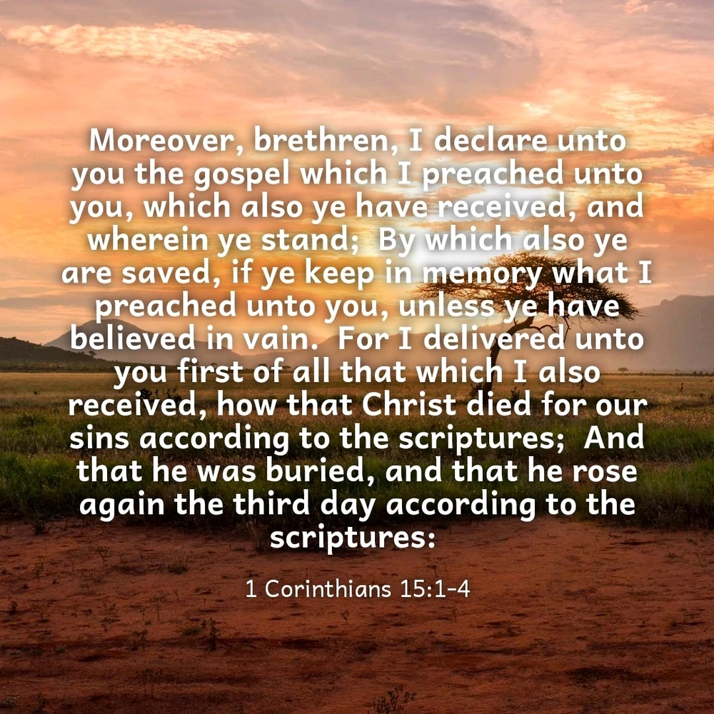 GIF uploaded by Larry