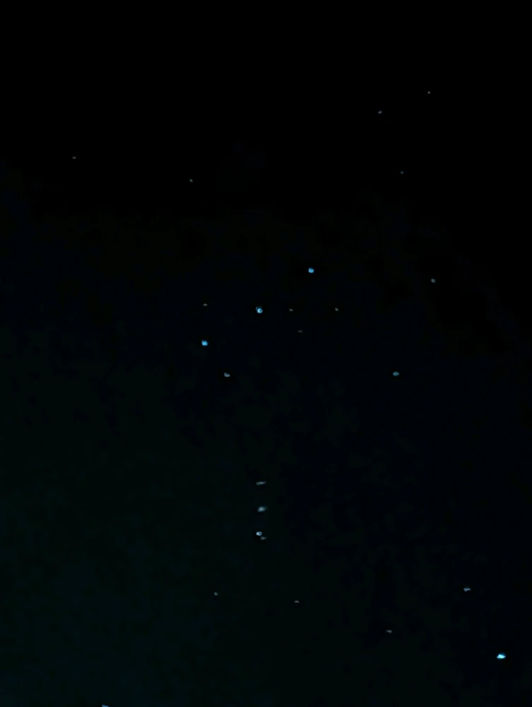 GIF uploaded by Adam