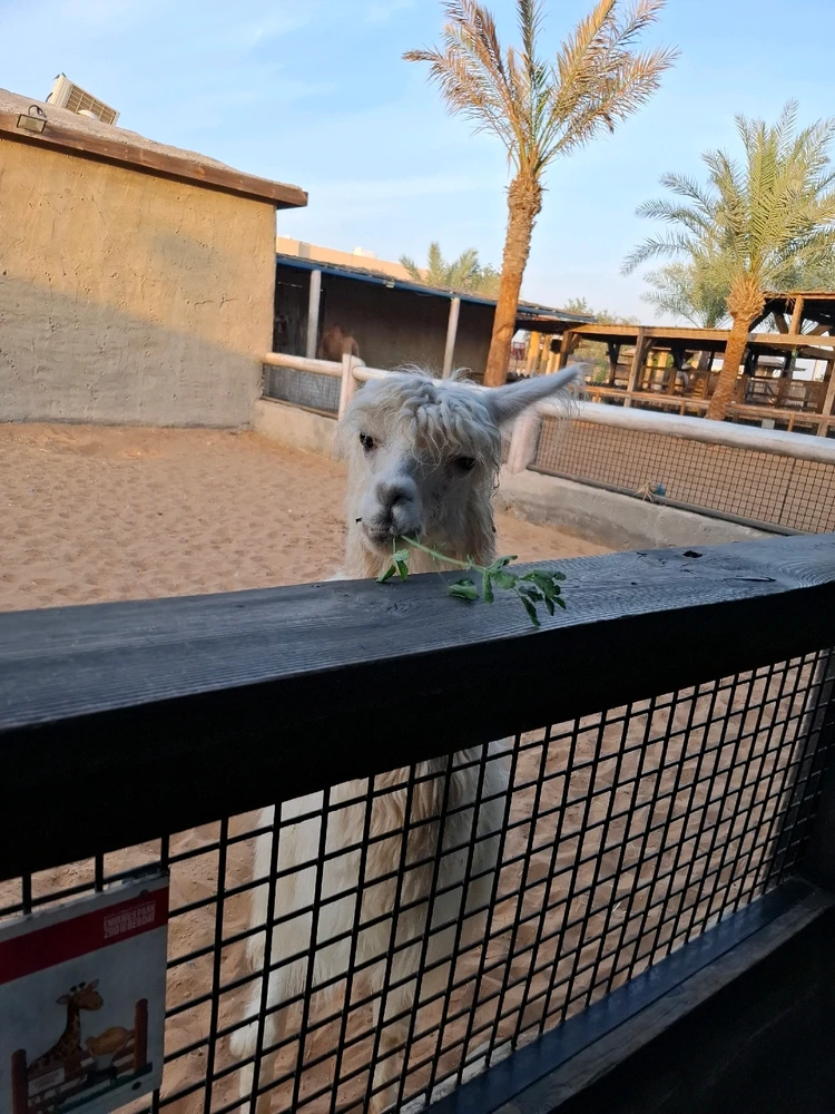 GIF uploaded by Nylej