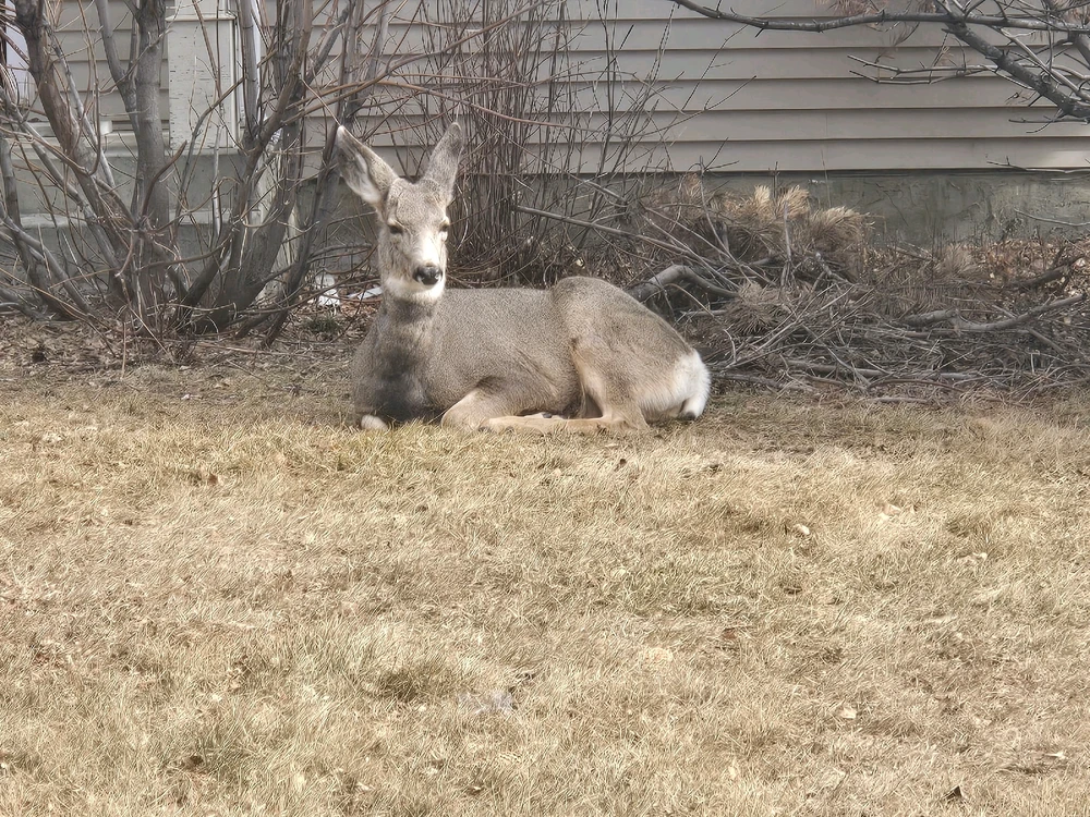 GIF uploaded by Aleksandr