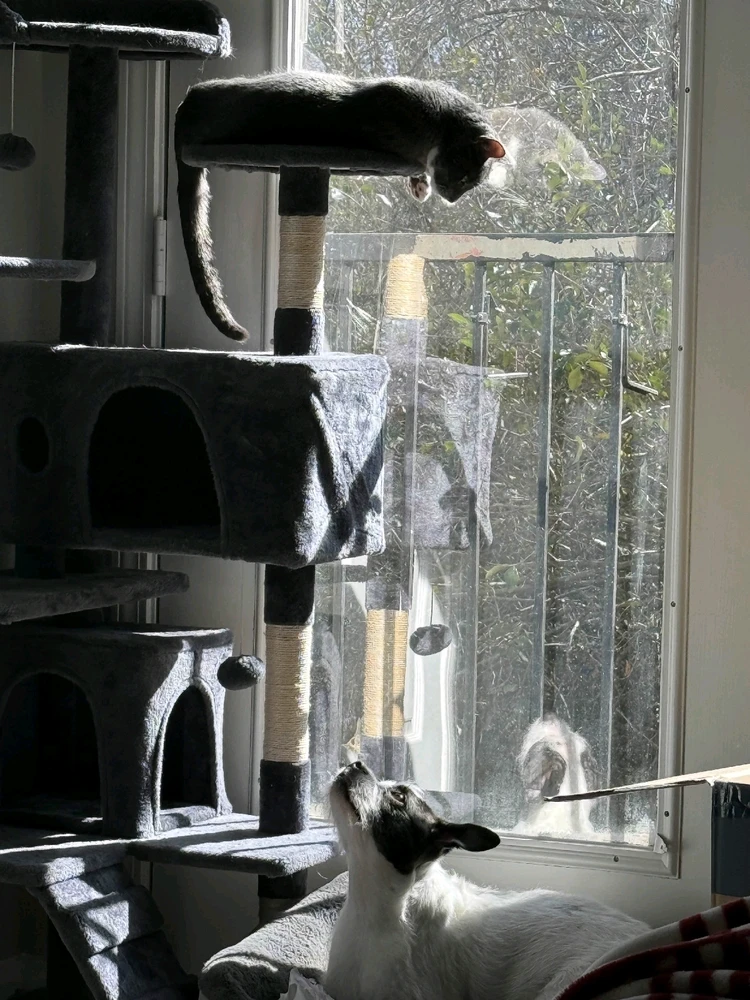 GIF uploaded by Tyler