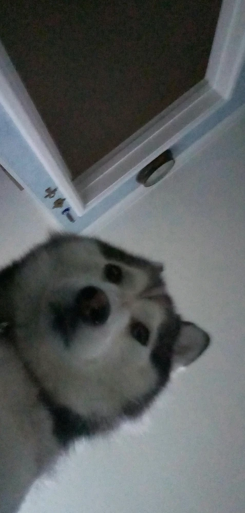 GIF uploaded by Conor