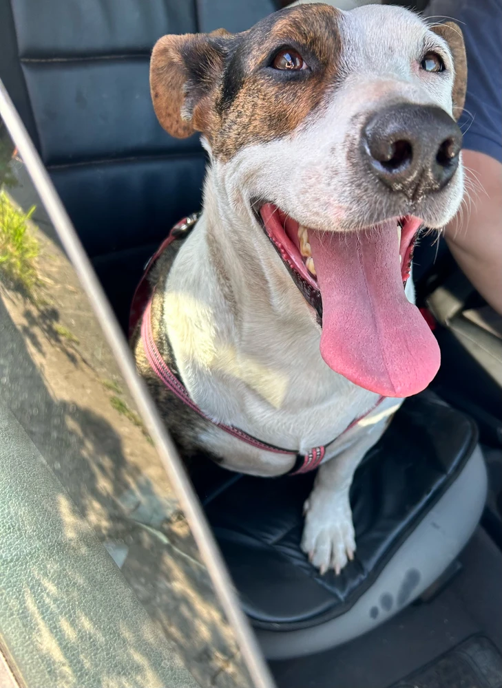 GIF subido por Lhorenza