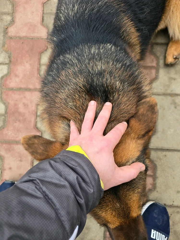 Image uploaded by Bogdan