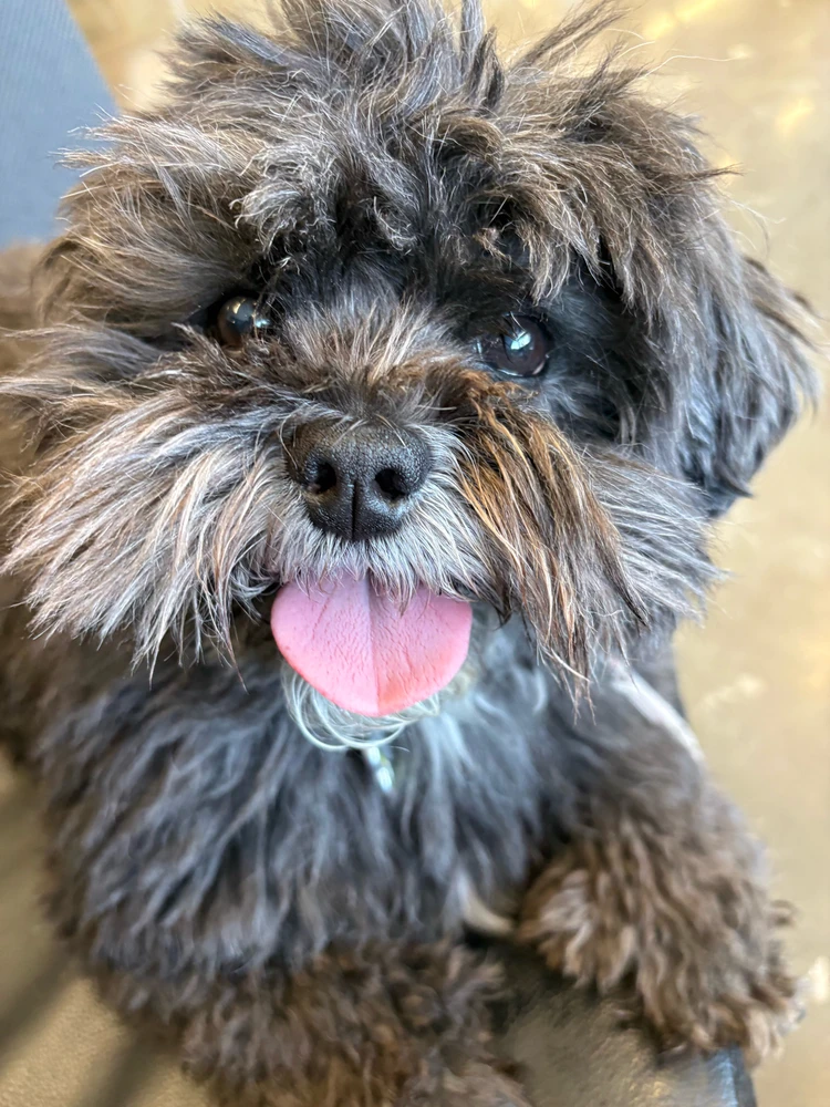 GIF uploaded by Bruce