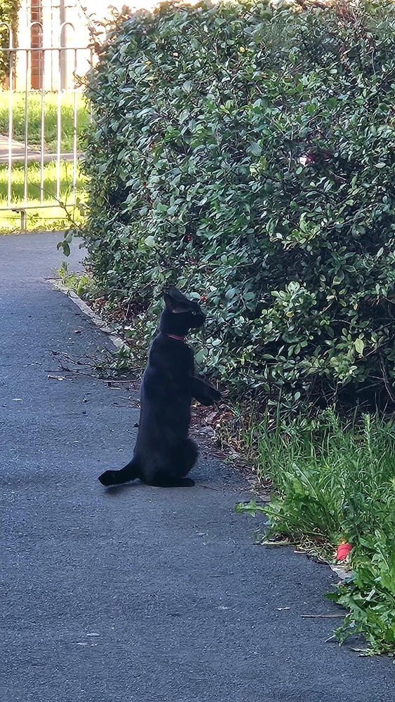 GIF uploaded by Susan