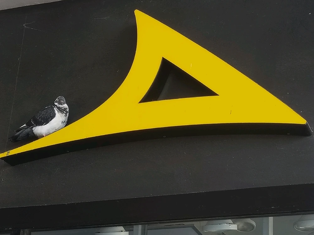 Image uploaded by Mayela