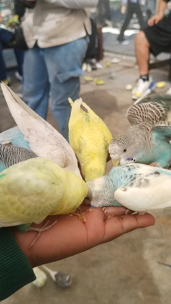 Image uploaded by Mayela