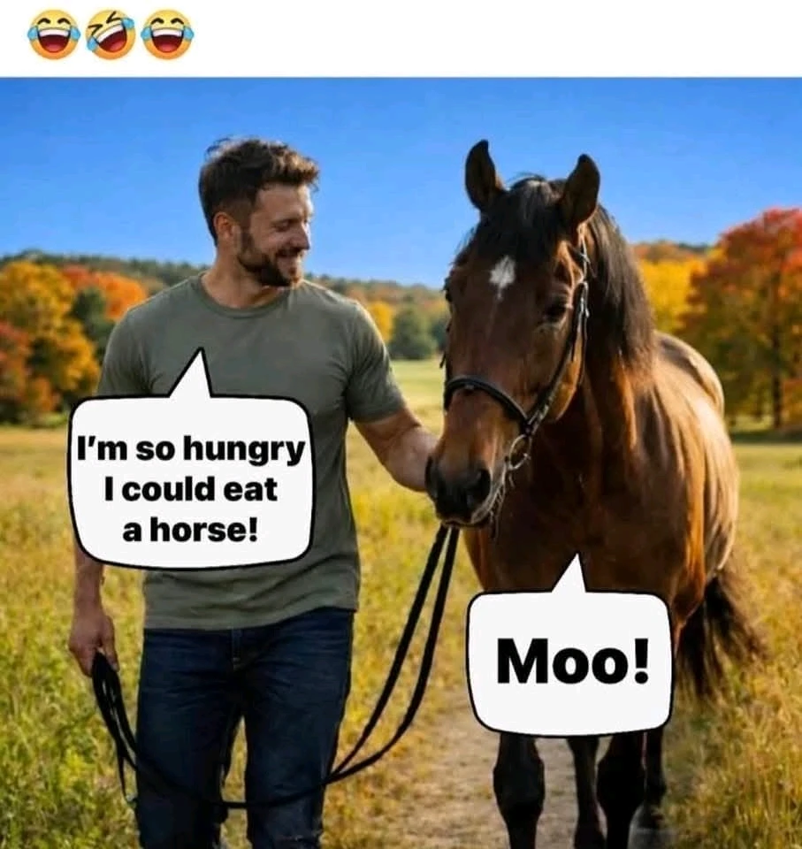 GIF uploaded by TheHappyGuitar