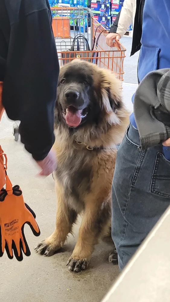 GIF uploaded by Dante