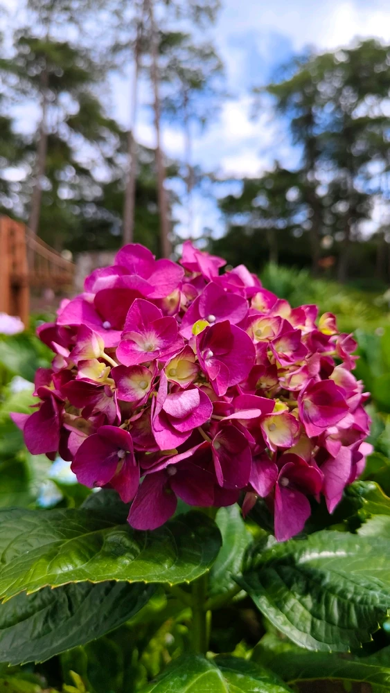 Image uploaded by Aqua