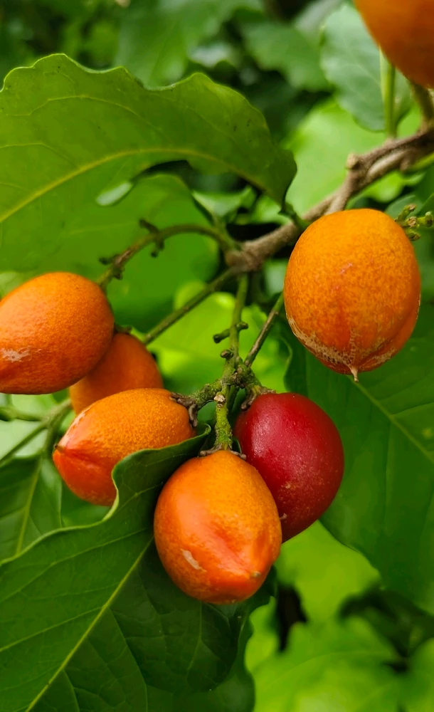 Image uploaded by Aqua