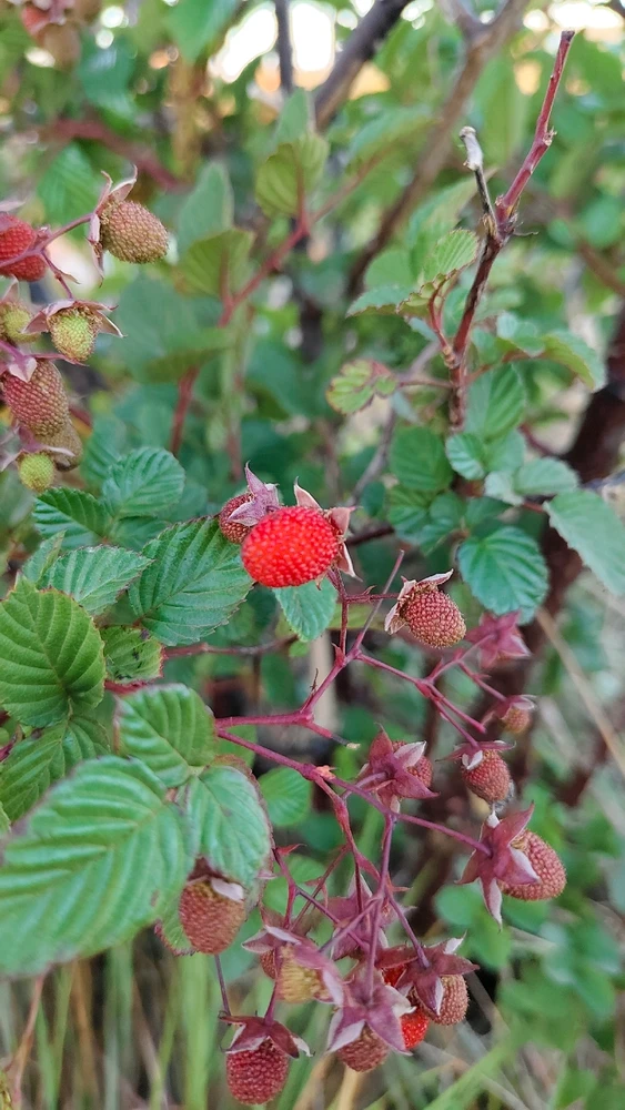 Image uploaded by Aqua