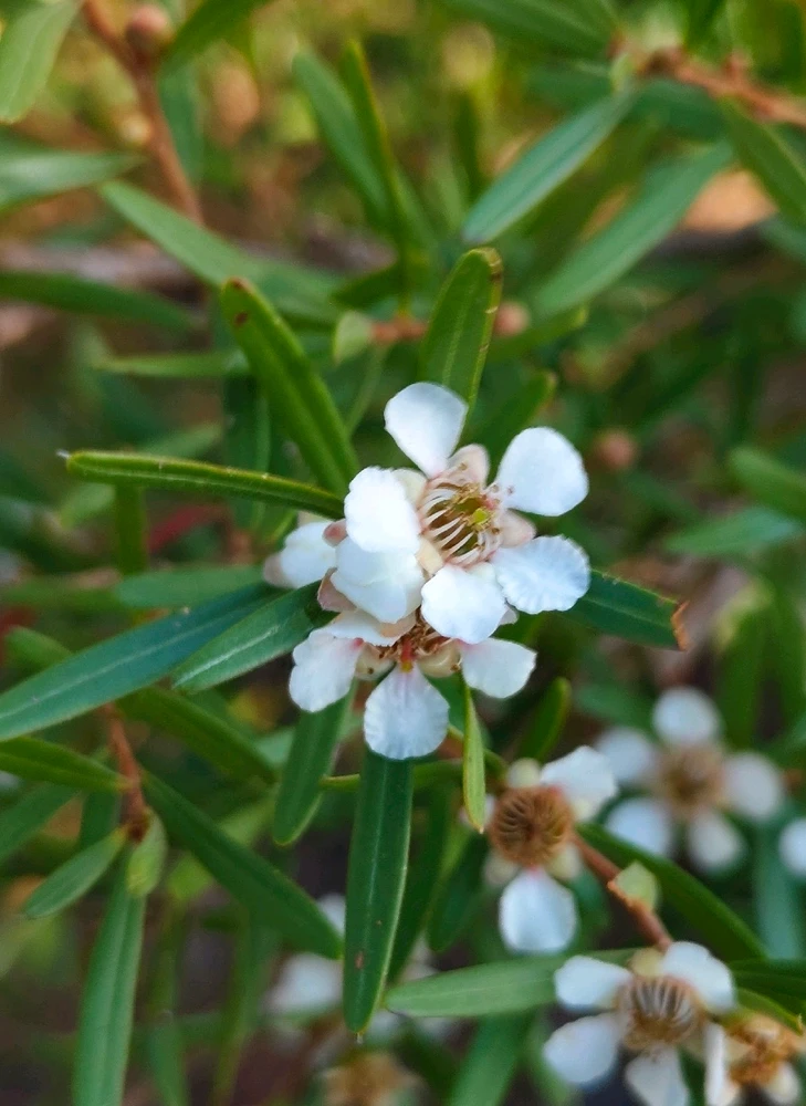 Image uploaded by Aqua