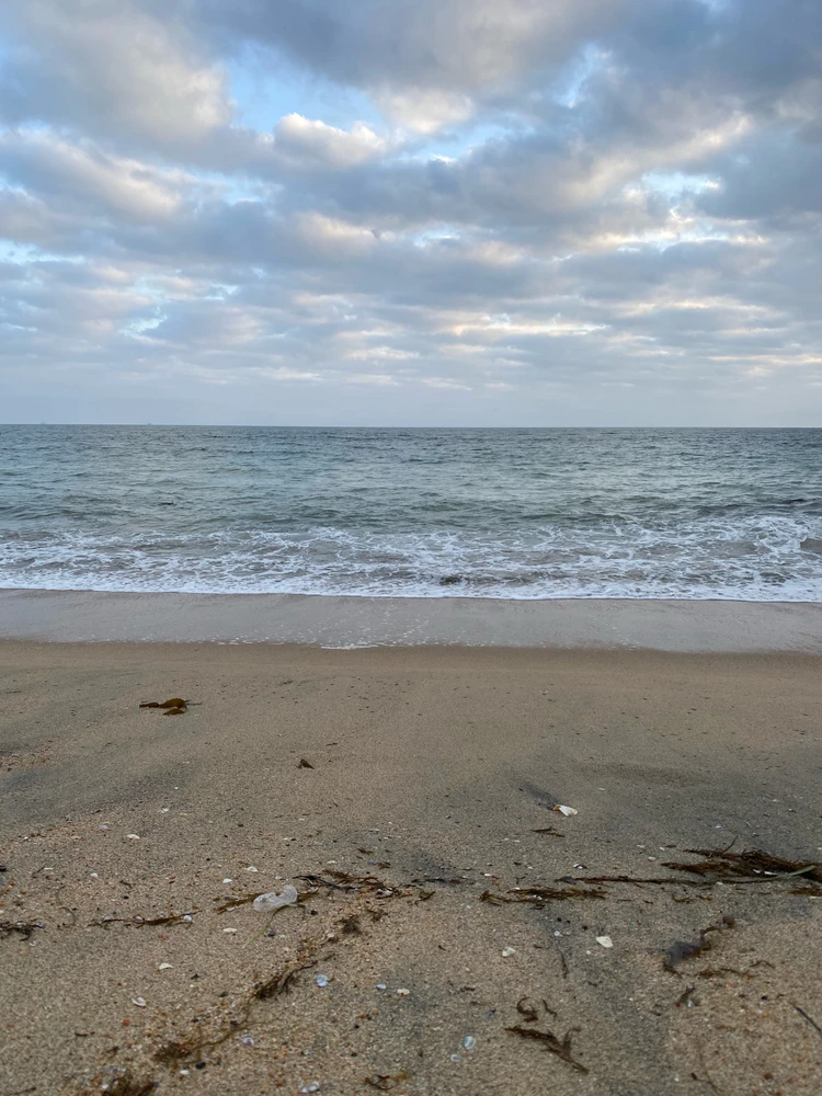 GIF uploaded by Audrey