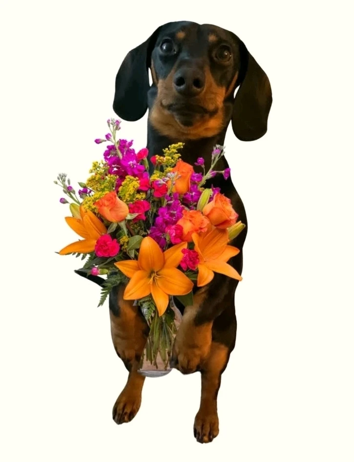 Here's flowers for you 🍀