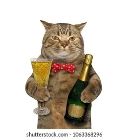 And Wine for your drinks 🍸 