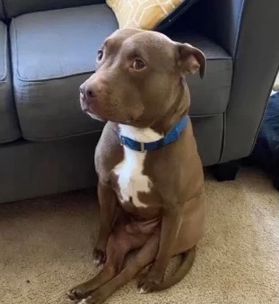 GIF diunggah dening Kaden