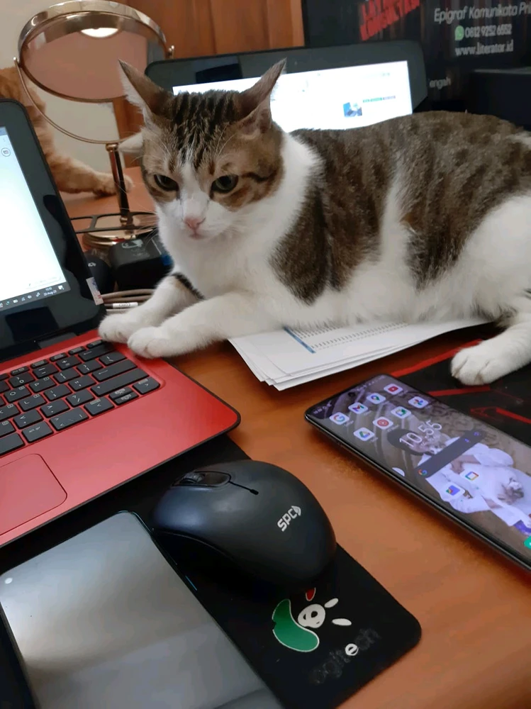 GIF uploaded by Lala