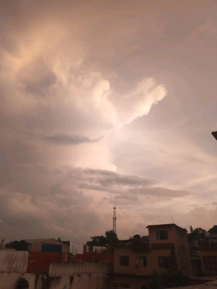 GIF uploaded by Enrique