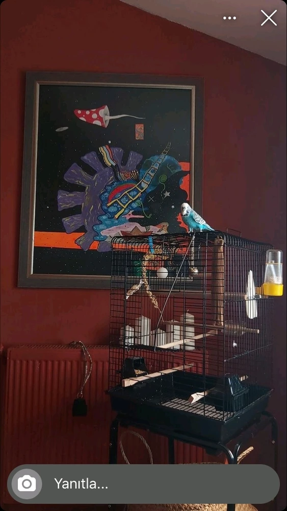 ab tarafından yüklenen görsel