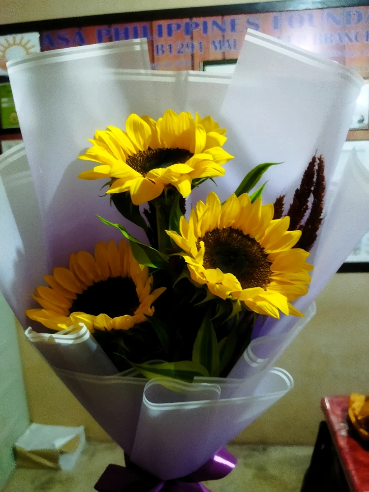 GIF uploaded by Isay