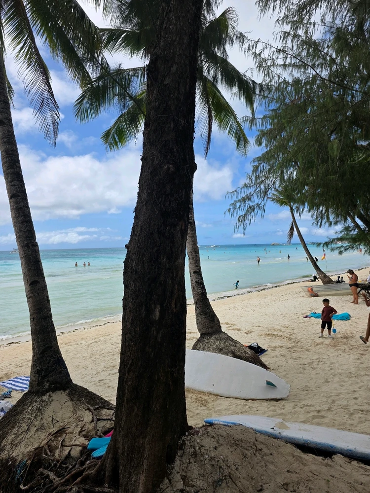 Image uploaded by Richard