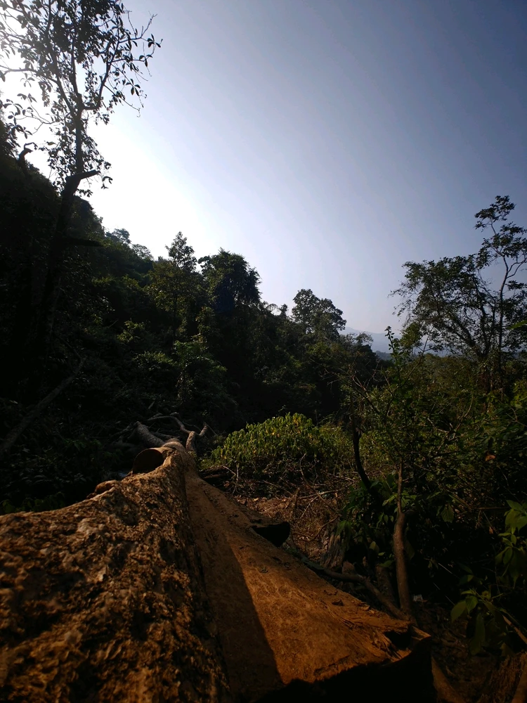 Image uploaded by Junieee