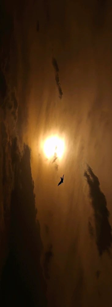 Image uploaded by Junieee