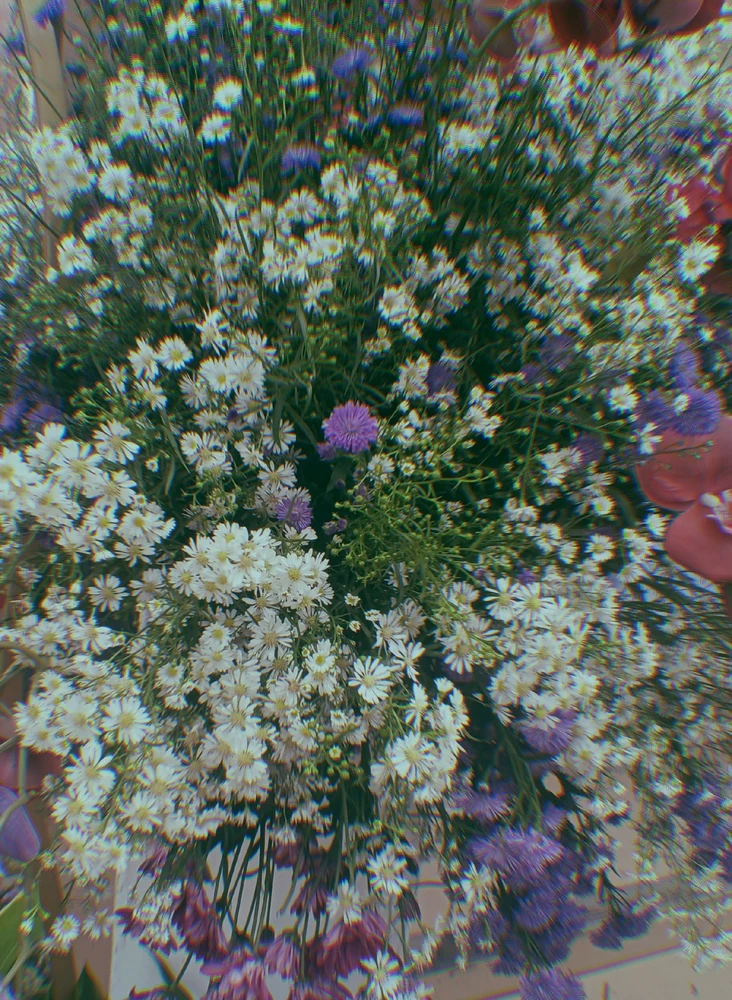 Image uploaded by Restu