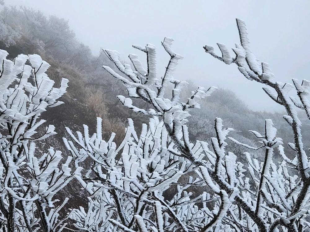 Gambar diunggah dening Gordi