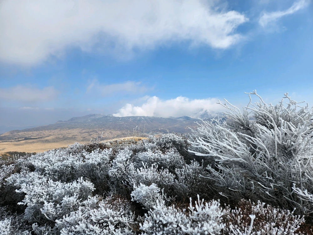 Gambar diunggah dening Gordi