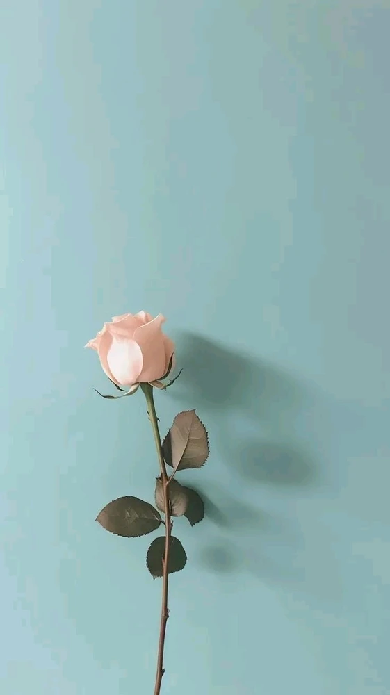 GIF uploaded by Yunnn