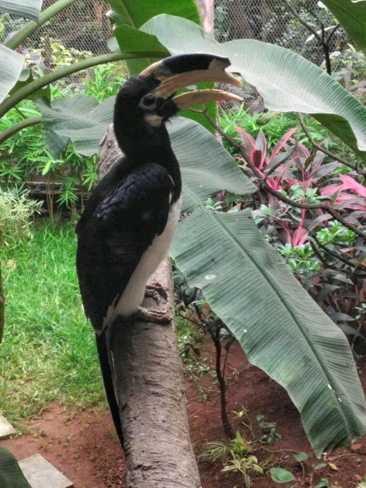 GIF diunggah dening A