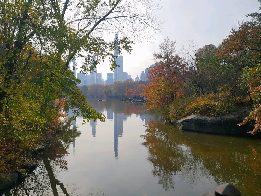 GIF ajouté par Cédric