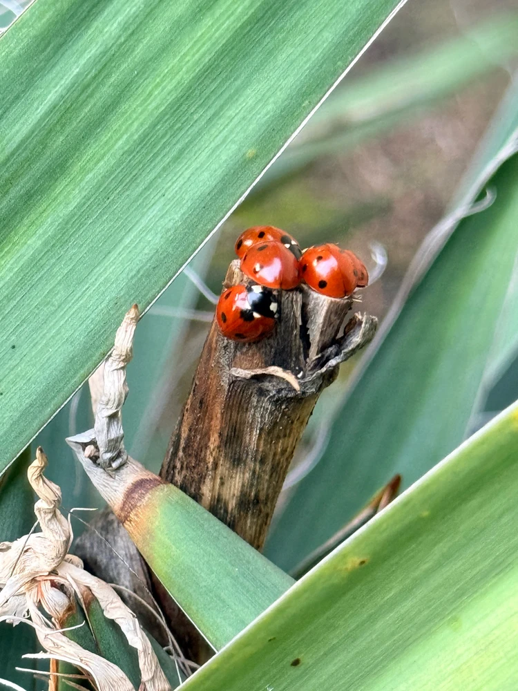 Krisztina által feltöltött GIF