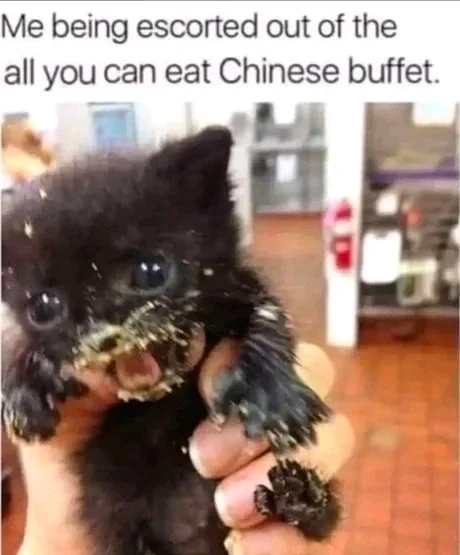 GIF uploaded by Braillynn