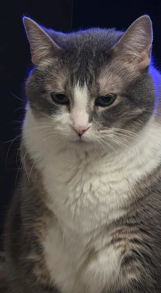 GIF uploaded by Marcos