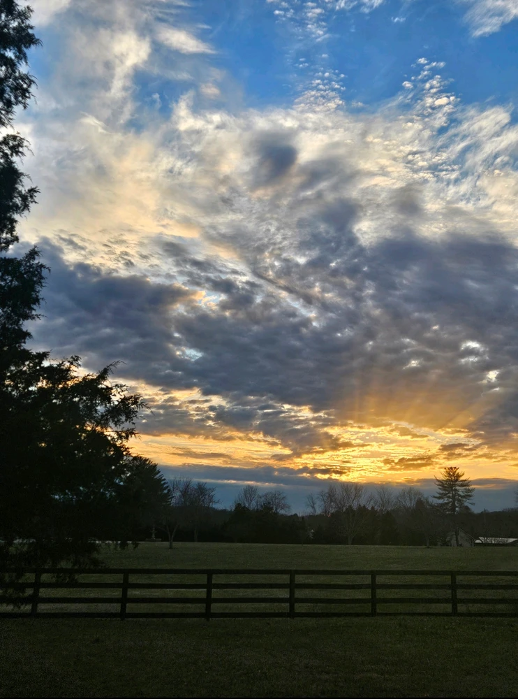 GIF uploaded by Skeeter Valentine