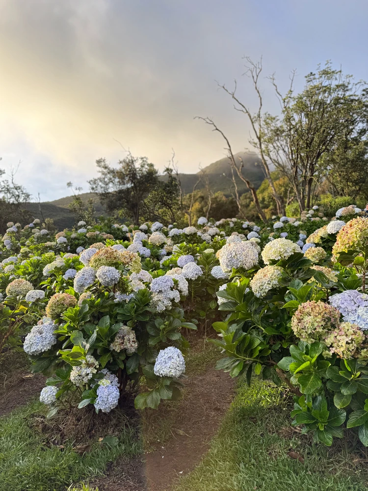 GIF uploaded by Ludia aza