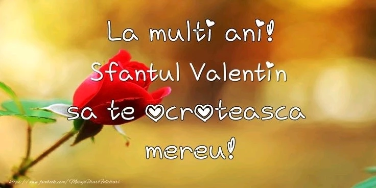 GIF încărcat de AngelNyky